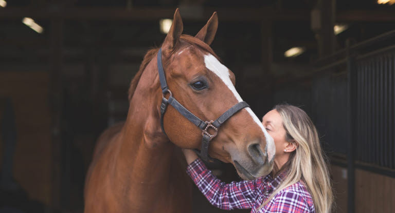 Hest og dame i stall