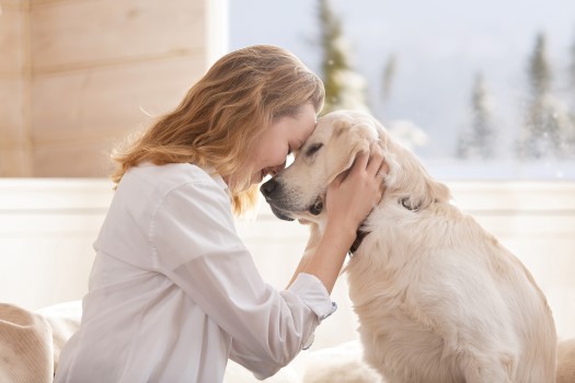 Dame og golden retriever som klemmer panne mot panne