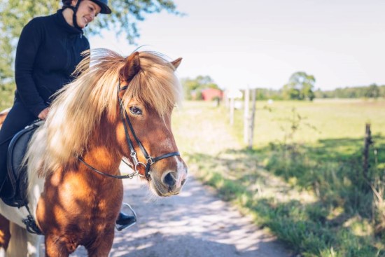 Hest og rytter på tur 