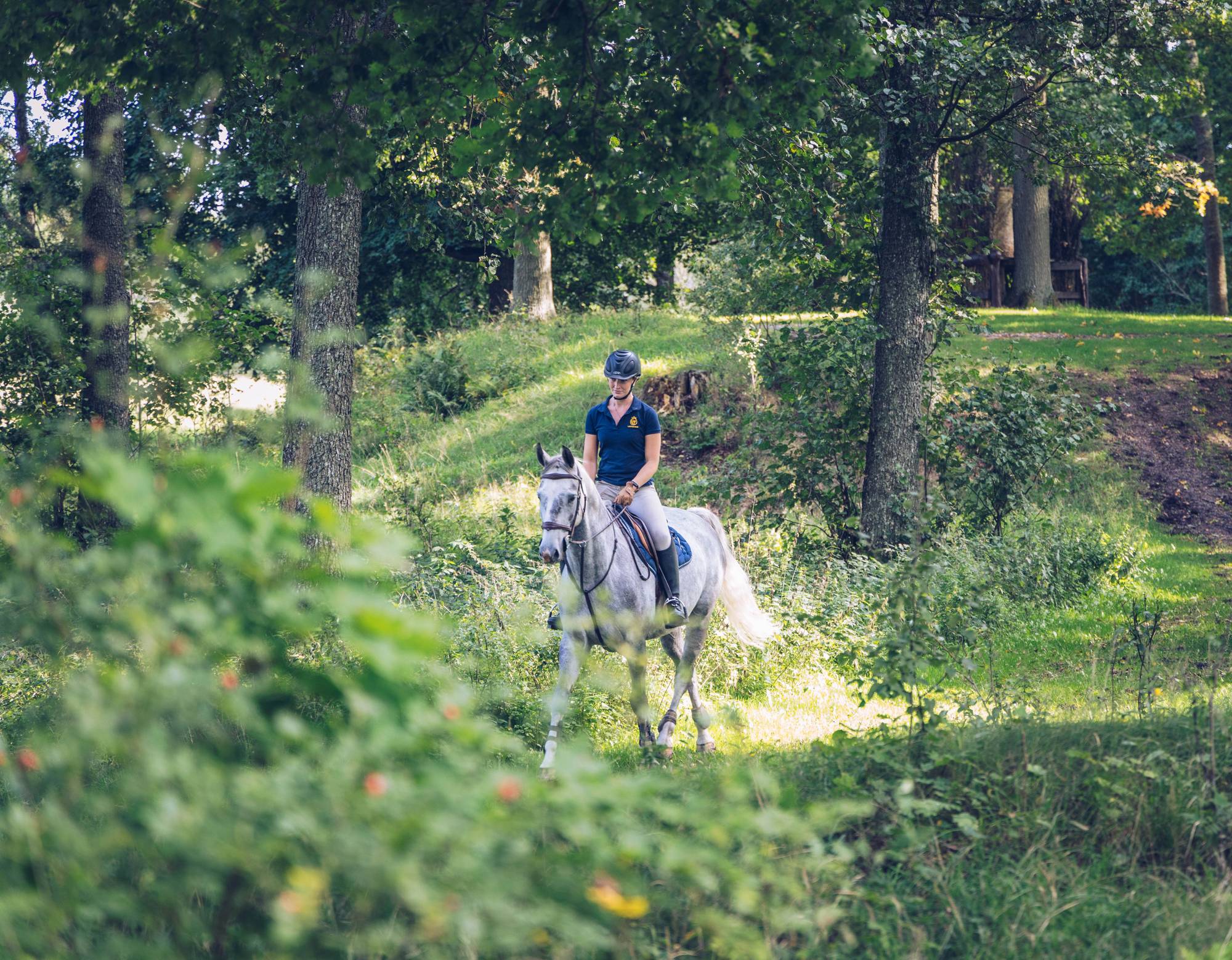 Hest og rytter rir i skogen på en sommerdag