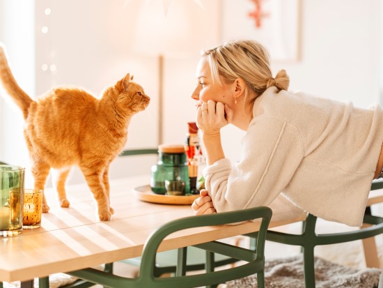 Katt og dame som ser på hverandre