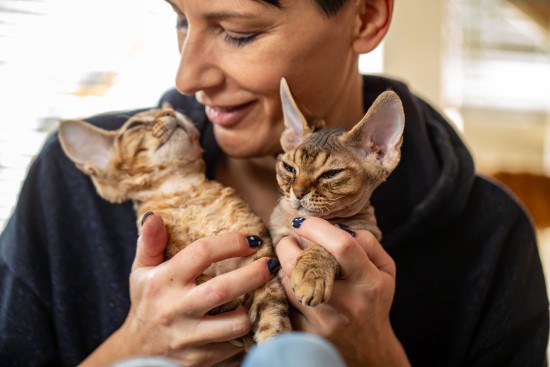 Dame som holder to devon rex kattunger