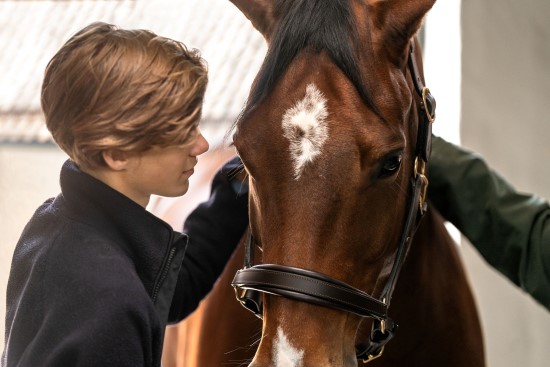 Hest og gutt klemmer