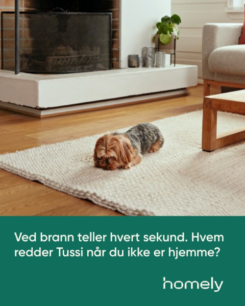 Med Homely kan alle familiemedlemmer føle seg trygge