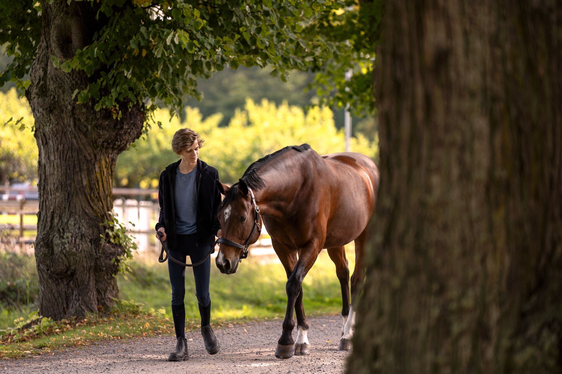 Hest og gutt på leietur