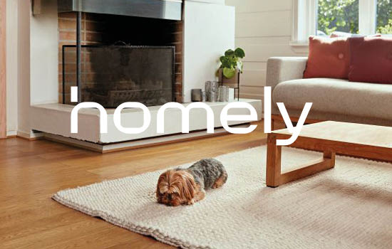 Hund som ligger på et gulvteppe