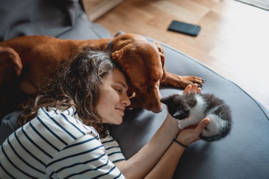 Dame ligger på sofaen med en kattunge og hund