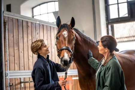 Hest blir klappet av en gutt og dame