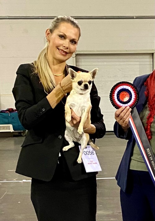 Forsikringsagent Lene