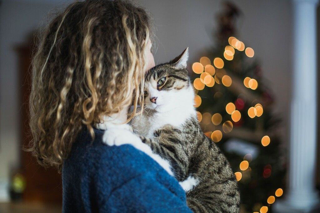 Person som koser med en katt, juletre i bakgrunnen