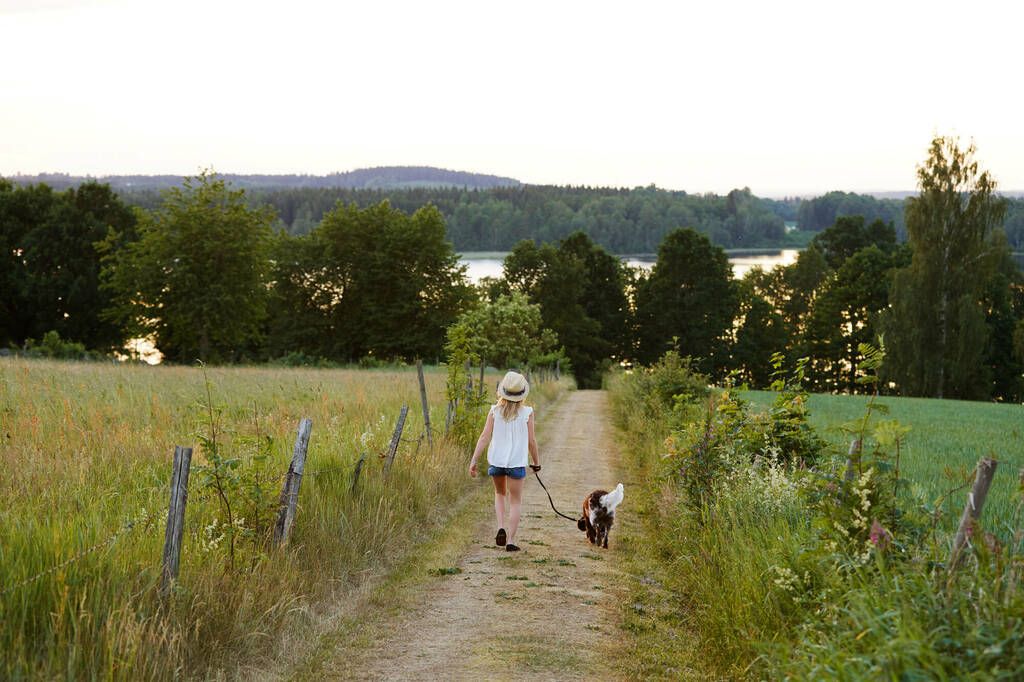 Jente og hund som går tur på en landevei