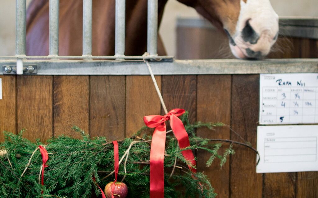 Julepynt i stallen