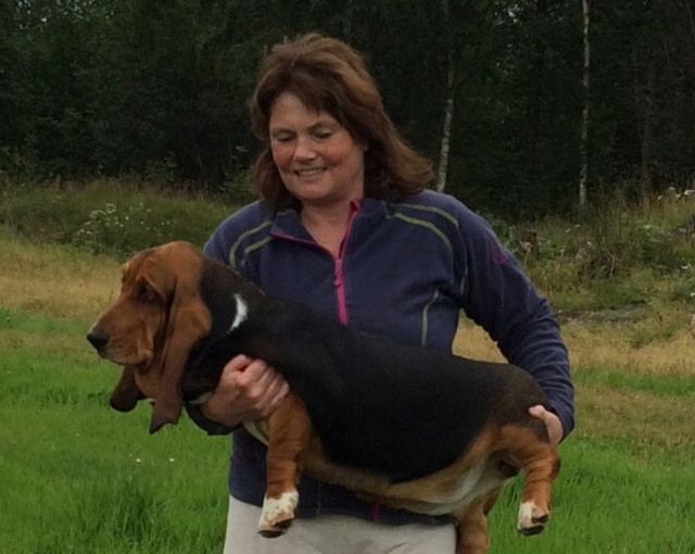 Forsikringsagent Birgitte