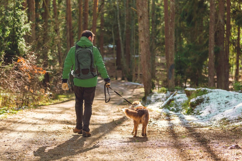 Mann og hund går tur i skogen