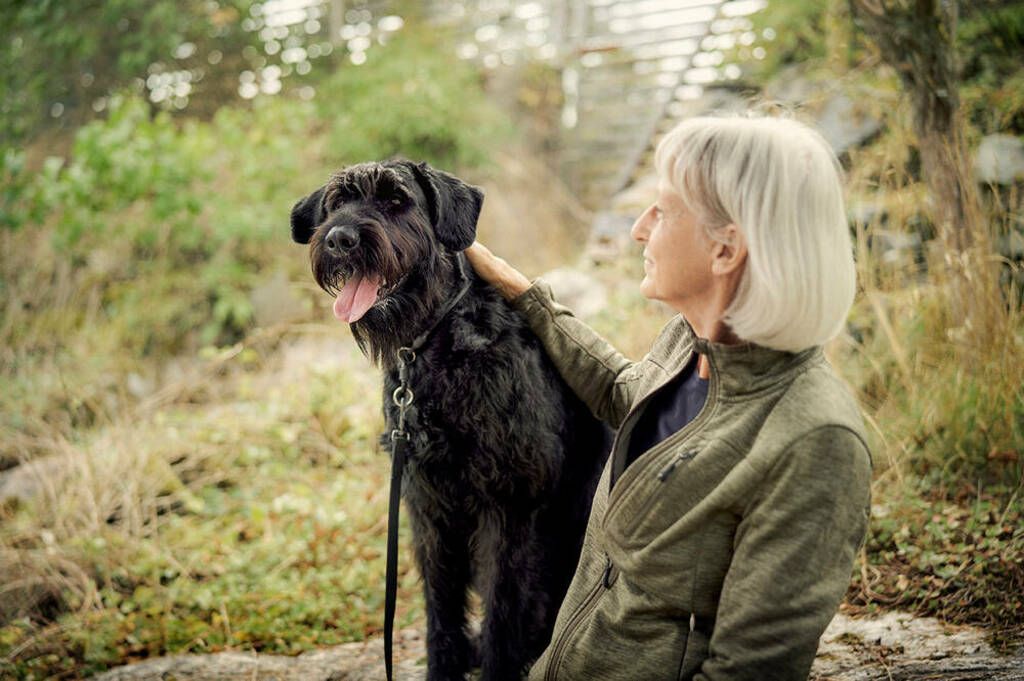 Hund og dame
