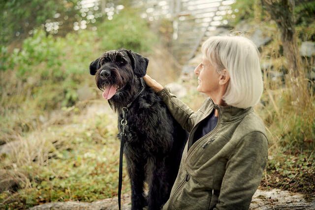 Hund og dame