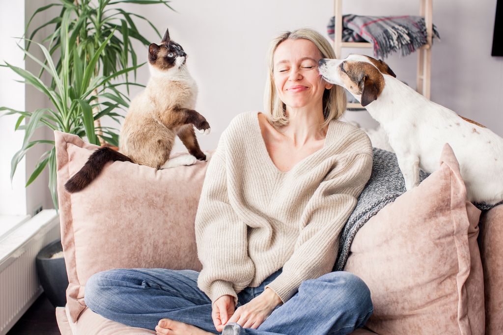 Dame sitter i sofa med en katt ved siden av og en hund som slikker henne på kinnet