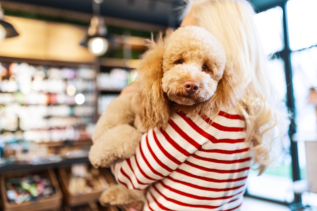Hund som blir løftet av dame.