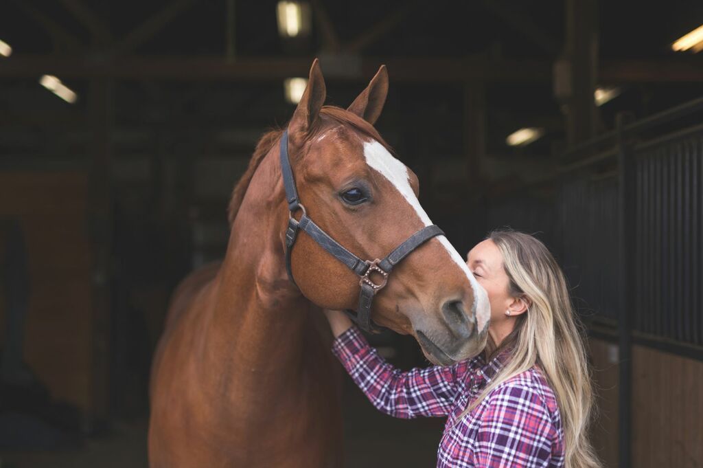 Hest og dame i stall