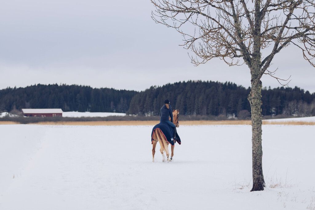 Hest og rytter på ridetur i vinterlandskap