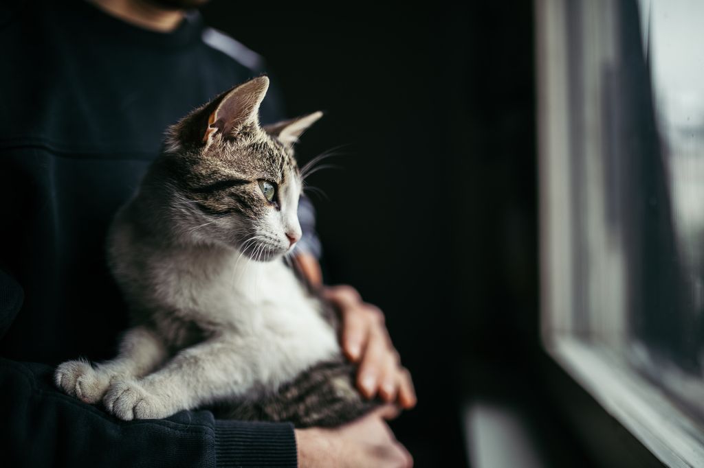 Mann med katt i armene