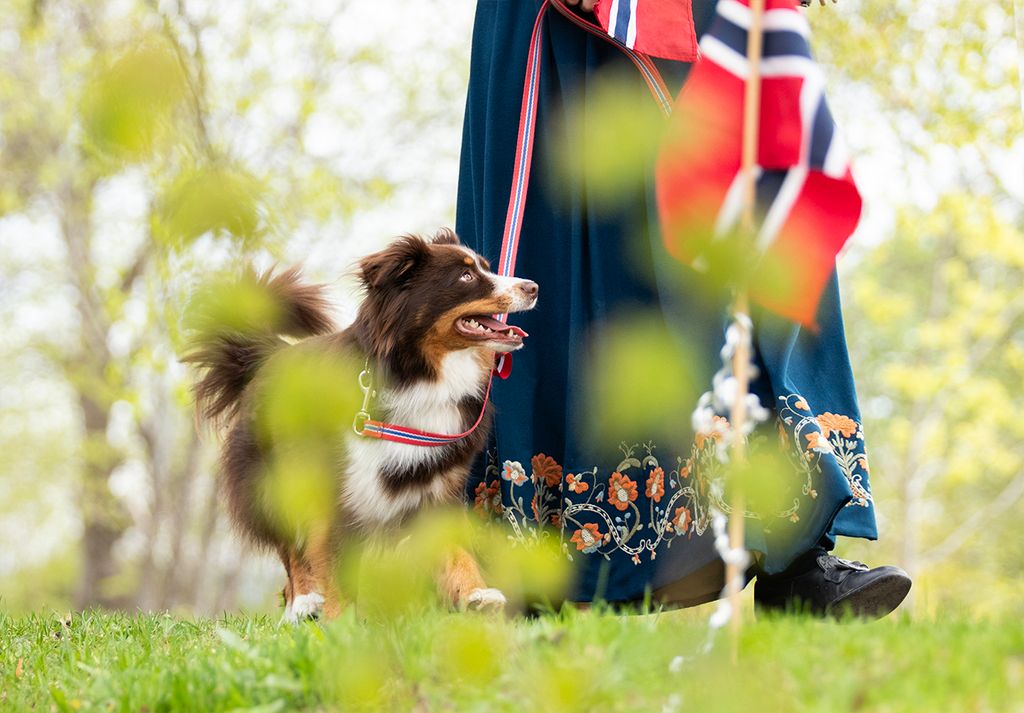 Hund og eier i bunad på 17.mai