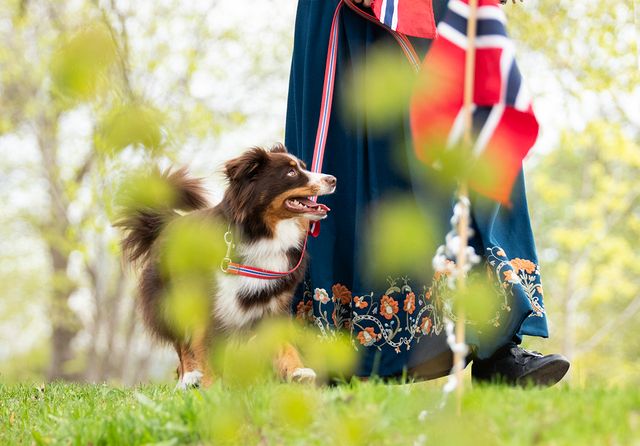 Hund og eier i bunad på 17.mai