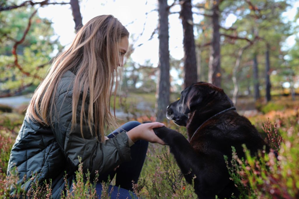 Dame og hund i skogen
