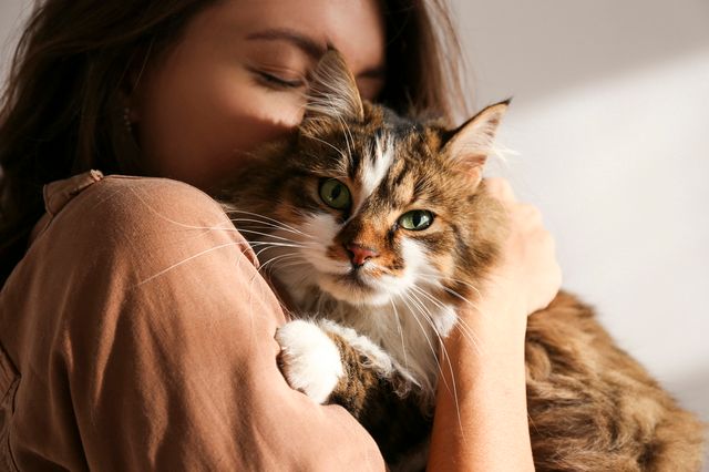 Dame som koser med katt