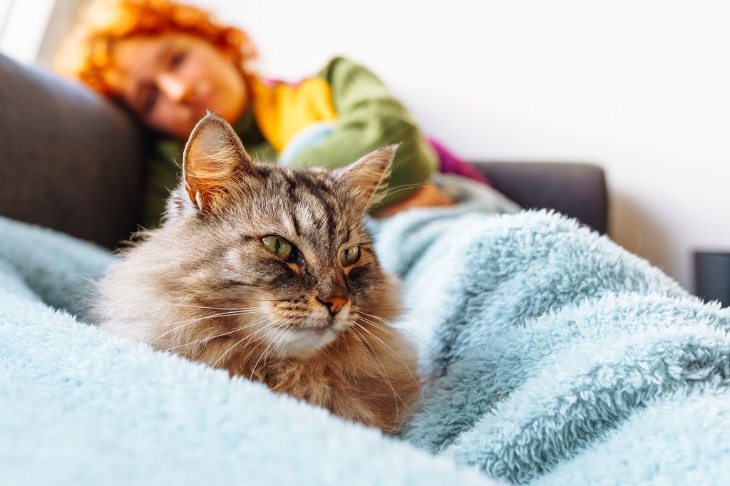 Katt i sofa sammen med dame