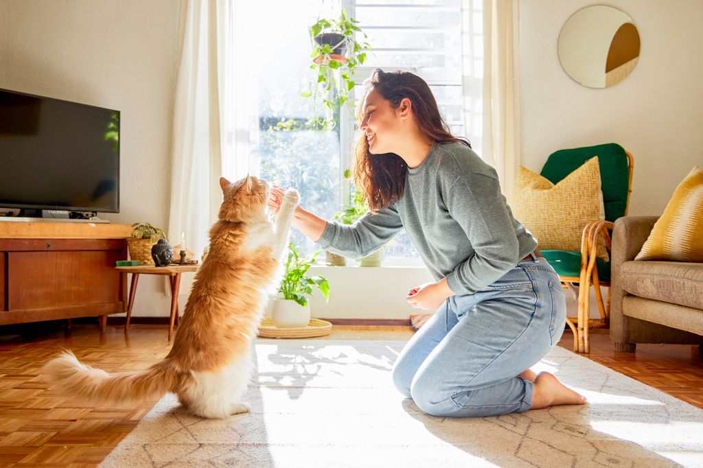 Katt og dame som trener på triks