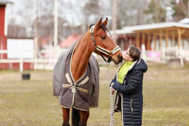 Hest og menneske 