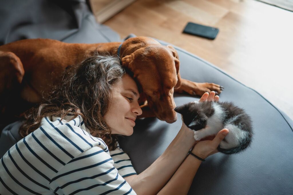 Dame som  holder en kattunge, ved siden av ligger det en hund.