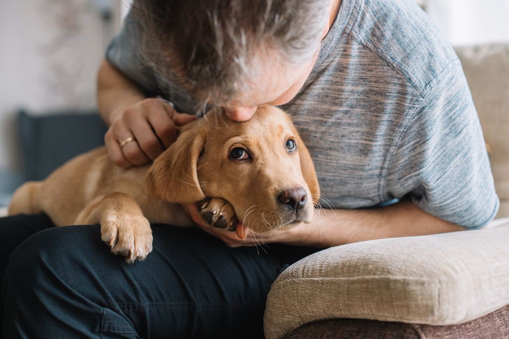 Mann som kysser hund på hode