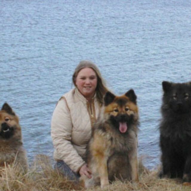 Forsikringsagent Beathe