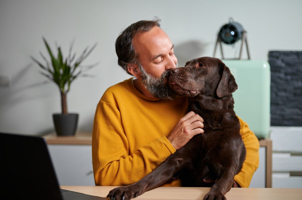 Hund som koser med en mann