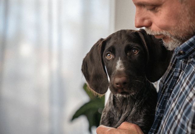 Valp som sitter på fanget