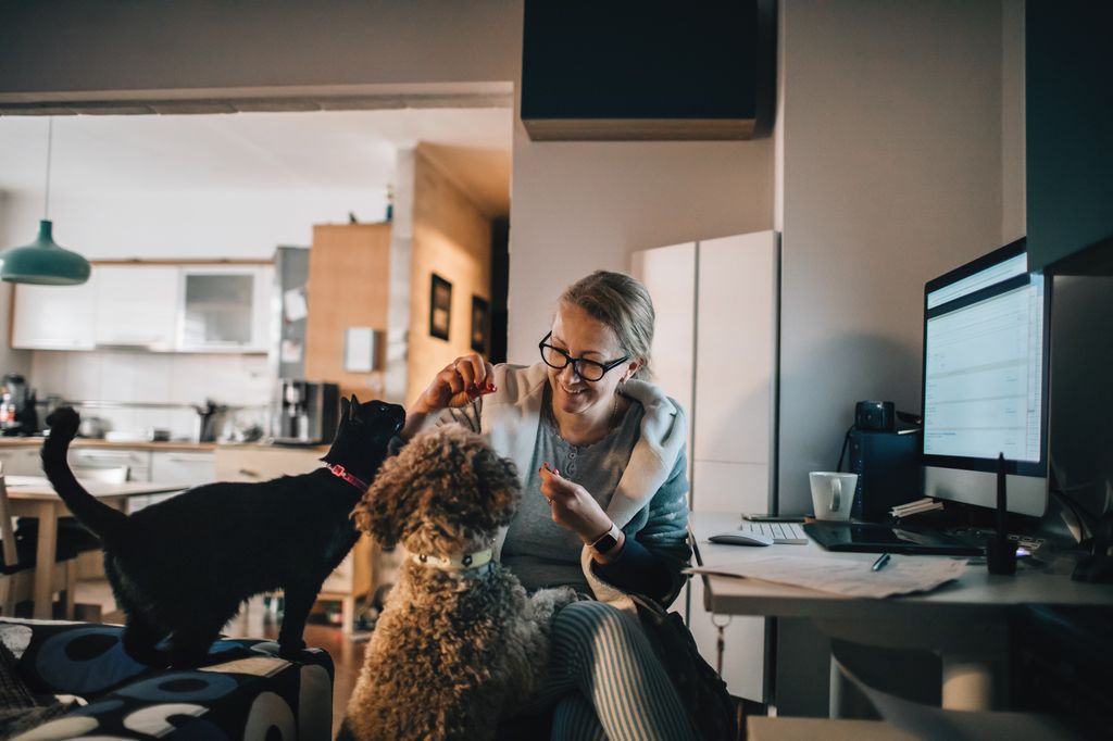 Dame med hund og katt på hjemmekontor
