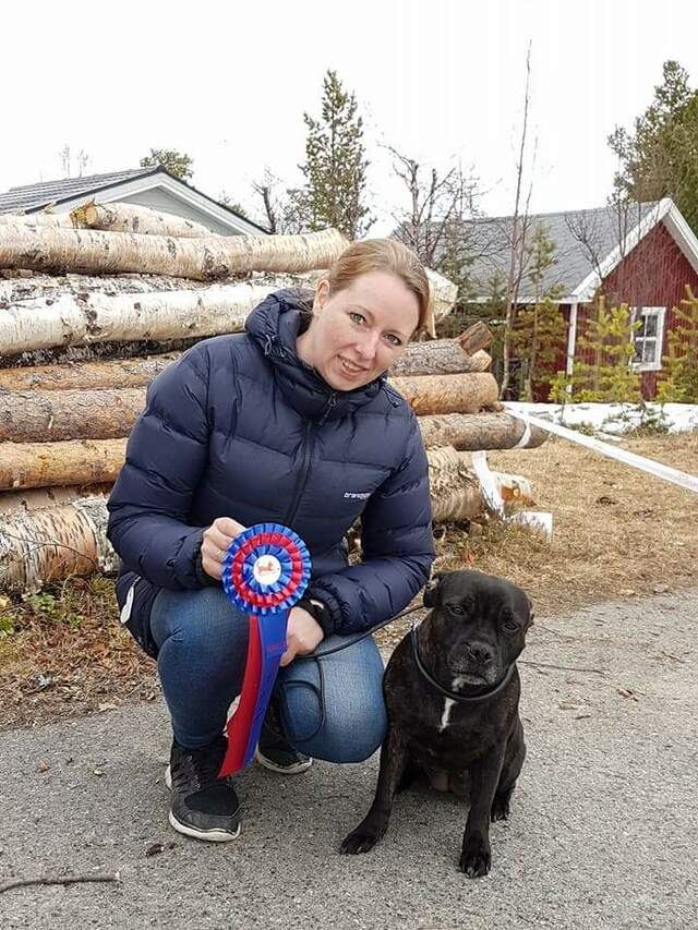 Forsikringsagent Mona