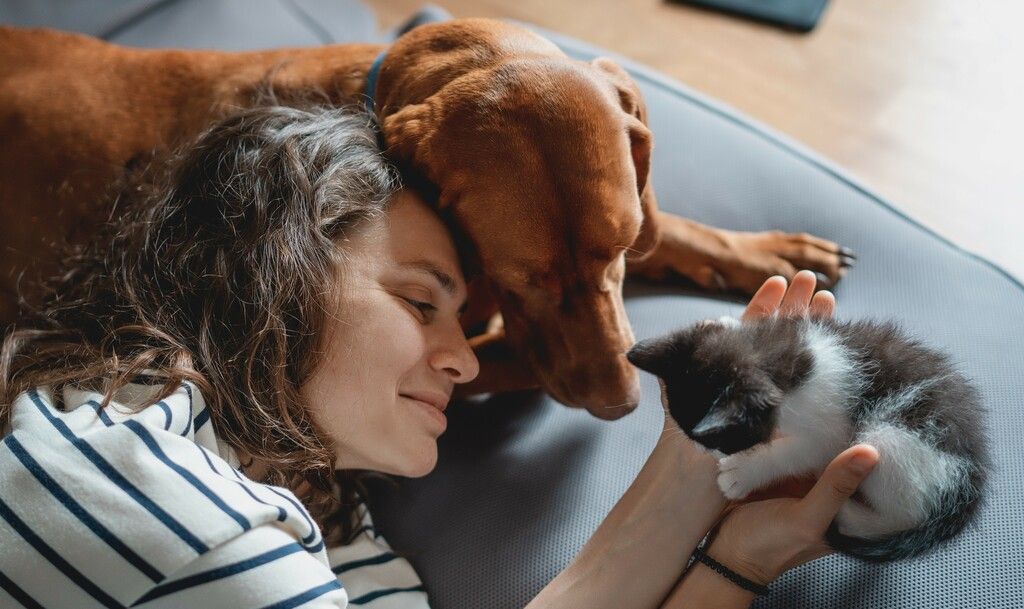 Dane som holder en kattunge i hånden. Ved siden av ligger en brun hund