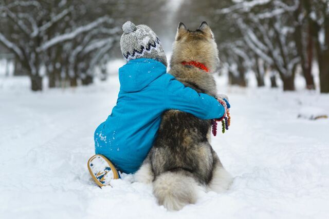 Barn klemmer hund