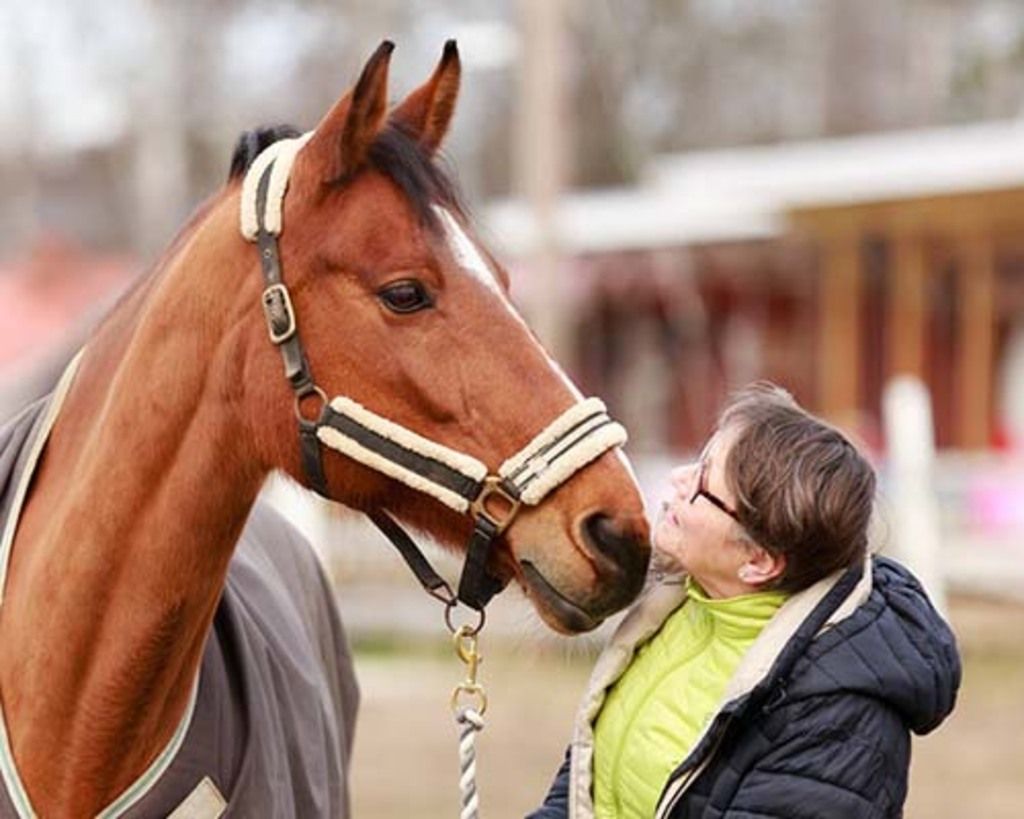 Hest og dame som er ute