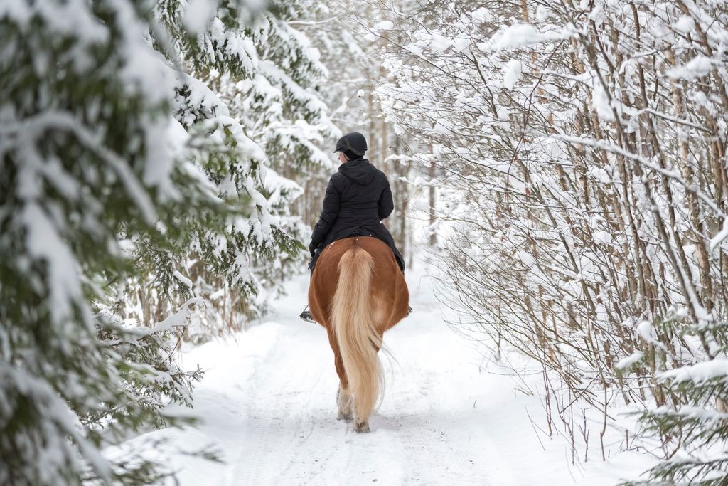 Person som rir på en hest i skogen på vinteren