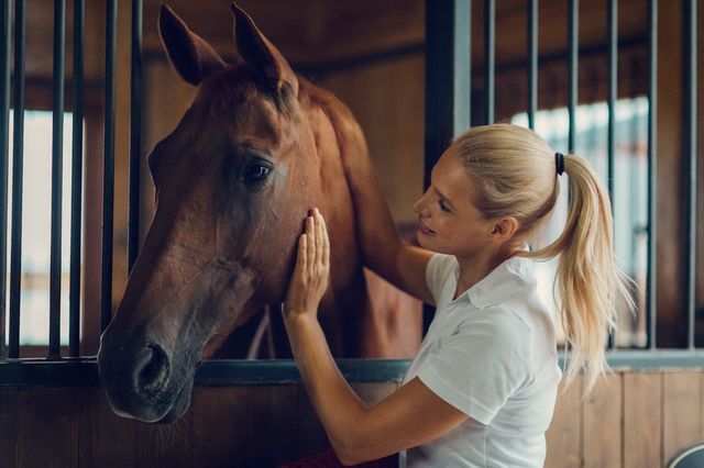Dame som klapper en hest i en stall
