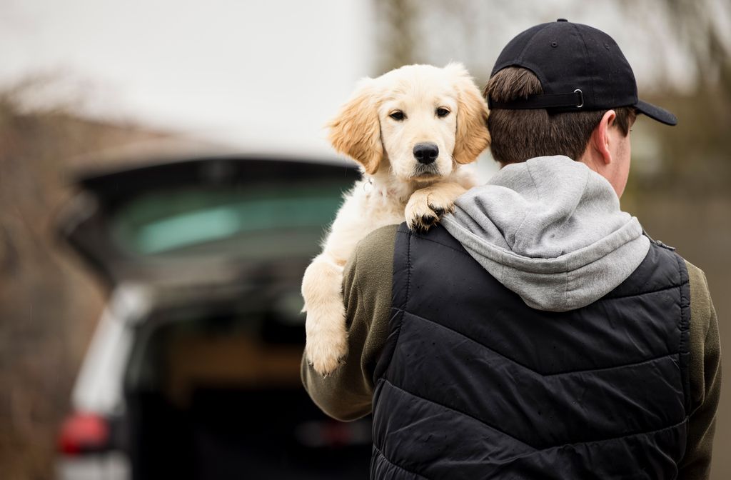Hund og mann