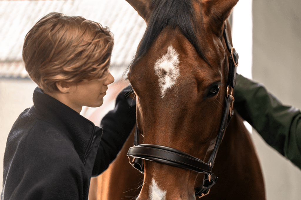 Hest og eier koser