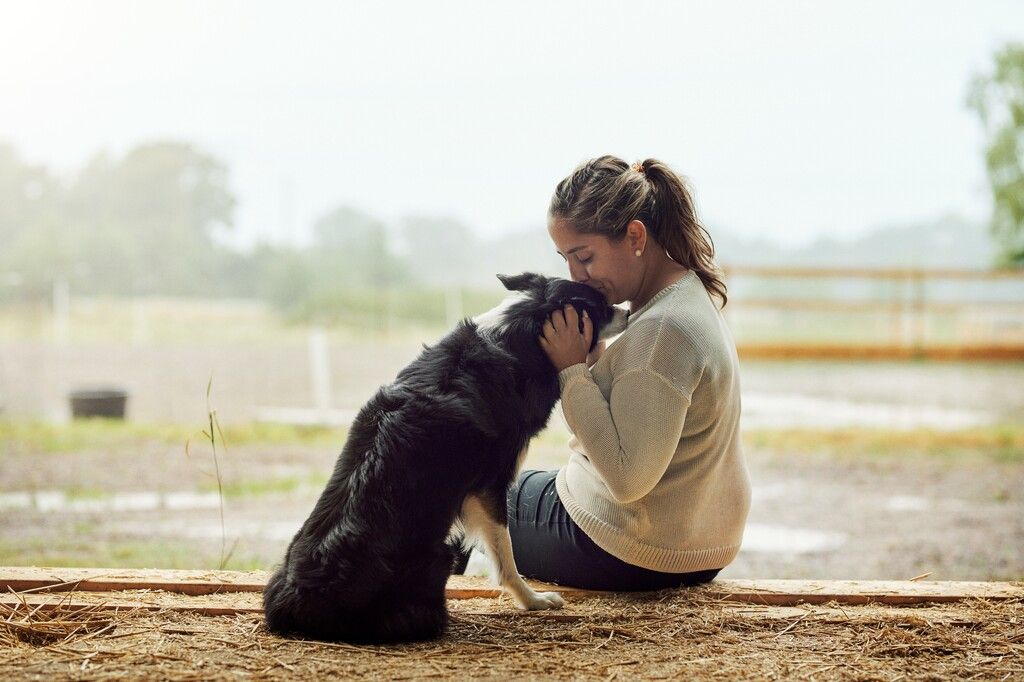 Dame som kysser en border collie på hodet