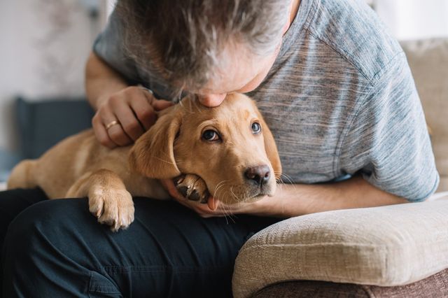 Man som kysser en hund på hodet