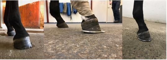 Bilder av høver