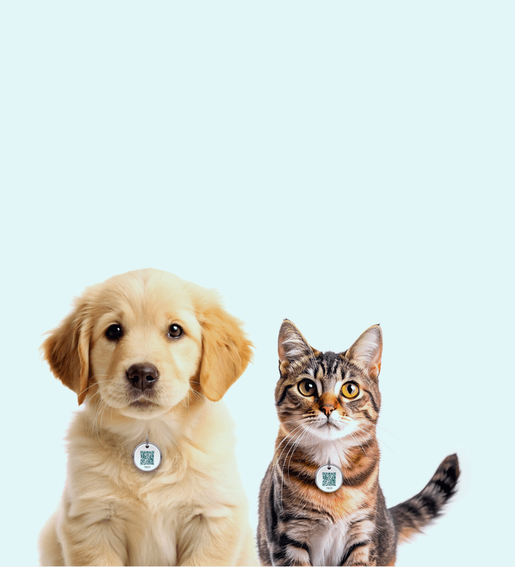Hund og katt med QR-brikke